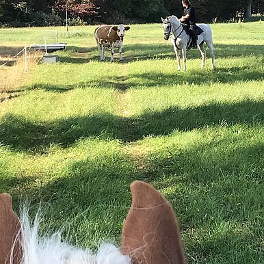 71407905 2386815871396793 235774548996259840 O 71407905 2386815871396793 235774548996259840 O